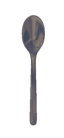 spoon2
